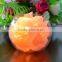 Himalayan Natural Rock Salt Lamp with glass base
