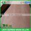 Cheap Bintangor Packing Grade Plywood