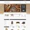 web development company