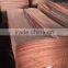 wood veneer bintangor