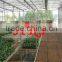In 2016, the new Hot Sales Display Danish Flower Trolley the wooden shelf Danish Cart