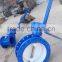 Flanged Double eccentric butterfly valve with gearbox and extension spindle