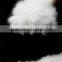 EN12934 80% Washed White Goose Down