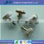 18/8 Stainless Steel Decorative Solid Brass Knurled Knobs, Knurled Thumb Screw