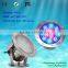Durable Ocean Led Underwater Light / LED Underwater Lighting for Fountain Decoration