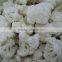 IQF Frozen Cauliflower With Good Quality for Sale