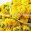 chrysanthemum Chinese teas benefits for Chinese herbal remedies