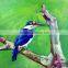 Home Good Original Modern Art Pop Animal 3D Oil Painting For Sale