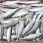 Frozen IQF 8-10pcs/kg Horse mackerel for sale