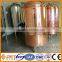 beer equipment made by SUS 304 or red copper/CE and ISO certification
