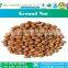 Groundnut 2015 New Crop from India