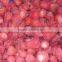 Frozen Strawberry for juice