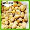 Heath Food Best Quality Frozen Chestnut Kernel