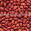 red skin peanuts