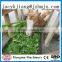 Customers favorite high efficiency CE approved small animal grinder mill