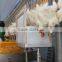chicken slaughtering machine/halal chicken processing line