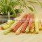 Low consumption chewing Jam center pet food production line