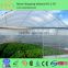 spain type multi span agricultural greenhouses vegetable film greenhouse for sale hydroponic grow tent kits