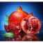 Pomegranate seed oil（rossonl@huacheng-biotech.com）