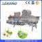commercial vegetable washing machine
