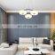 Home hotel decor pendant lamp