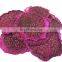 Natural Dried Dragon Fruit For International Market
