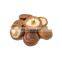 organic dried shiitake mushroom for cooking/High Quality Flower Mushroom/Best Prices Dried Shiitake Mushroom from Vietnam