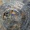 Galvanized Mild Steel Ripper Flat Wrap Razor Wire BTO-22 500mm Height