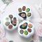 Simple White Creative Succulents Ceramic Cute Kitten Claw Treetop Planter Bamboo Stand Combination Potted Flowerpot