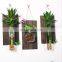 Wall-mounted Glass Vase Home Decor Glass & Wooden Flower Pot Vintage Wood Wall Hanging Heart Shape Vase
