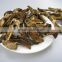 Wild Boletus edulis dried slices