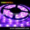 New china products led rope light neon