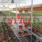 In 2016, the new Hot Sales Display Danish Flower Trolley the wooden shelf Danish Cart