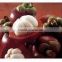 FRESH MANGOSTEEN WITH BEST PRICE AND GOOD QUALITY