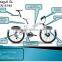 Seagull ebike CE/EN15194 unique designed 250w/500w electric bicycle for Europe, good quality