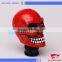 Skull Head Gear Auto Shift Knob, Automobile Race Gear Head