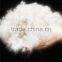 EN12934 80% hot selling goose down and feather for jackets