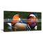 Frame Mandarin Duck Printed Canvas Painting Picture Art Livingroom Decor DWYS24