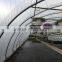 professional factory greenhouse pe plastic film