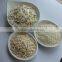 New crops white dried horseradish powder