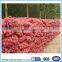 plastic vegetable mesh bags for packing potatoes and onions