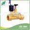 Solenoid Valve 24V AC Slip Valve Irrigation System Sprinklers Fittings