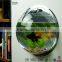 supper quality customized clear acrylic fish tank