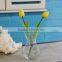Zibo glasslucky hotsale small clear glass vase wholesale glass vases for decoration