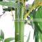 China factory cheap and high quality home decoration wholesale artificial bamboo tree plant