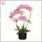 Factory Direct Cheap Real Touch Indoor Potted Pink Butterfly Orchid Flower Artificial Plants