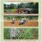 sugarcane helpful tools sugar cane cultivation machine india hot sale