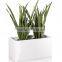 square factory supply popular sizes bulk pot planter