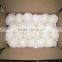 Chinese Golden Pear 9kg 18kg Carton