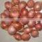 high quality Non-Peeled Part and fresh,Fresh Style fresh onion promotion